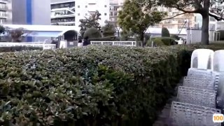 长相思小说免费阅读滴滴